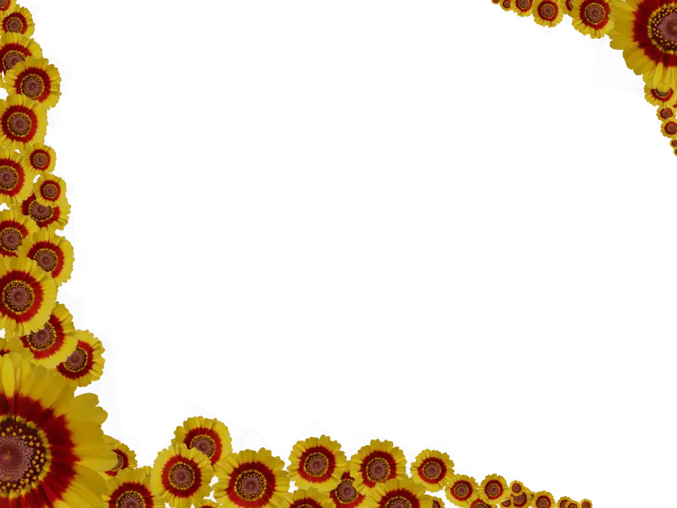 Beautiful Sunflower Frame
