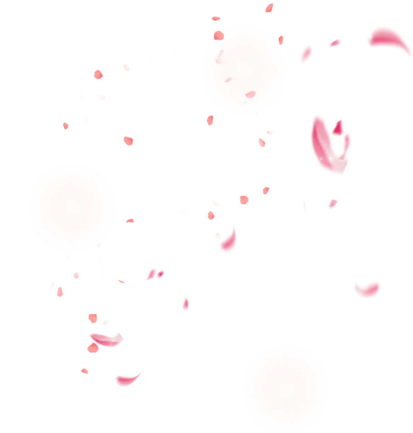 Pink Petals Floating Effect