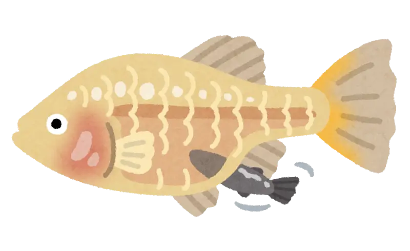 Cartoon Fish Illustration with Playful Design