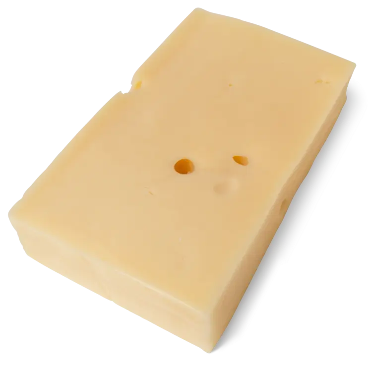 Block of Swiss Cheese with Holes