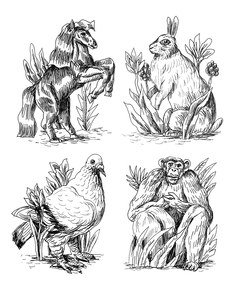 Hand-Drawn Animal Illustrations