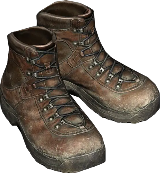 Brown Hiking Boots