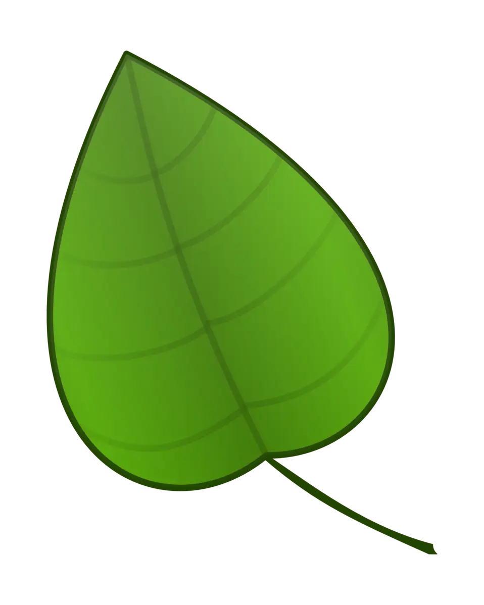 Green Single Leaf Illustration