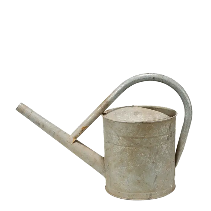 Vintage Metal Watering Can for Gardening