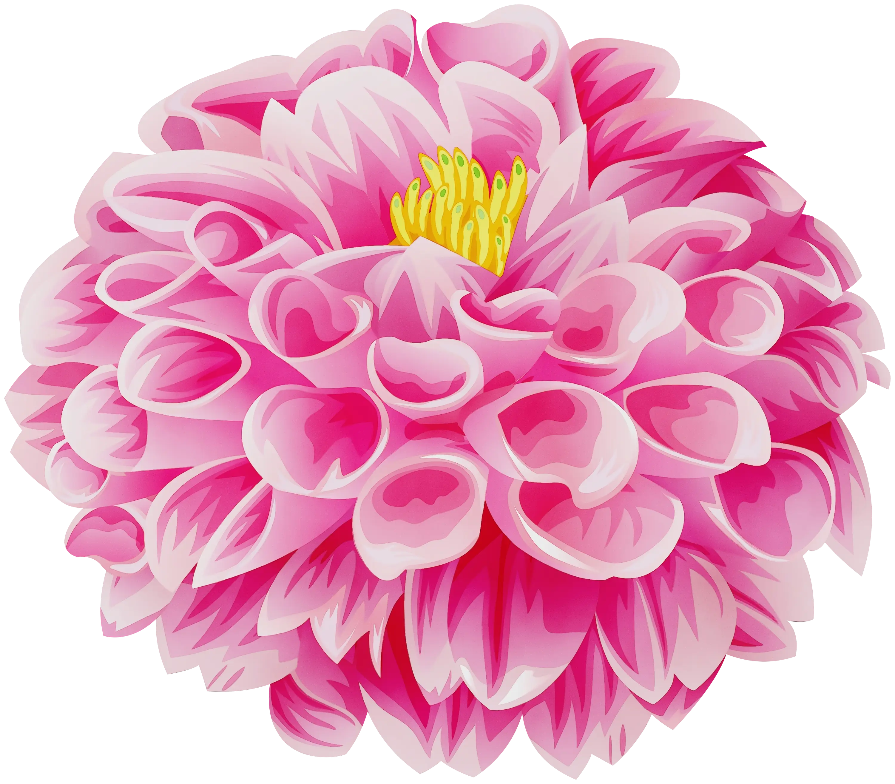 Pink Flower Blossom with Detailed Petals