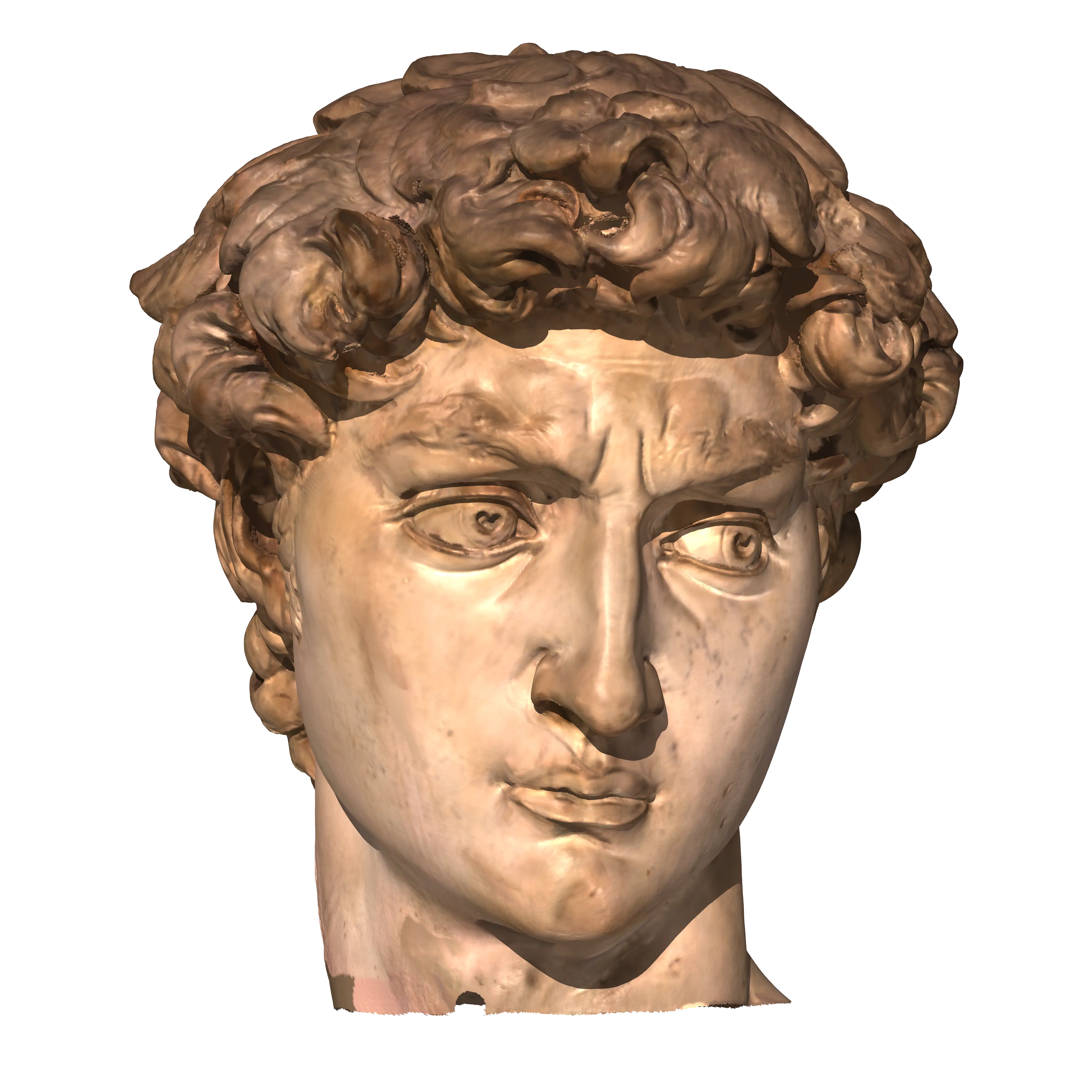 Classical Statue Head