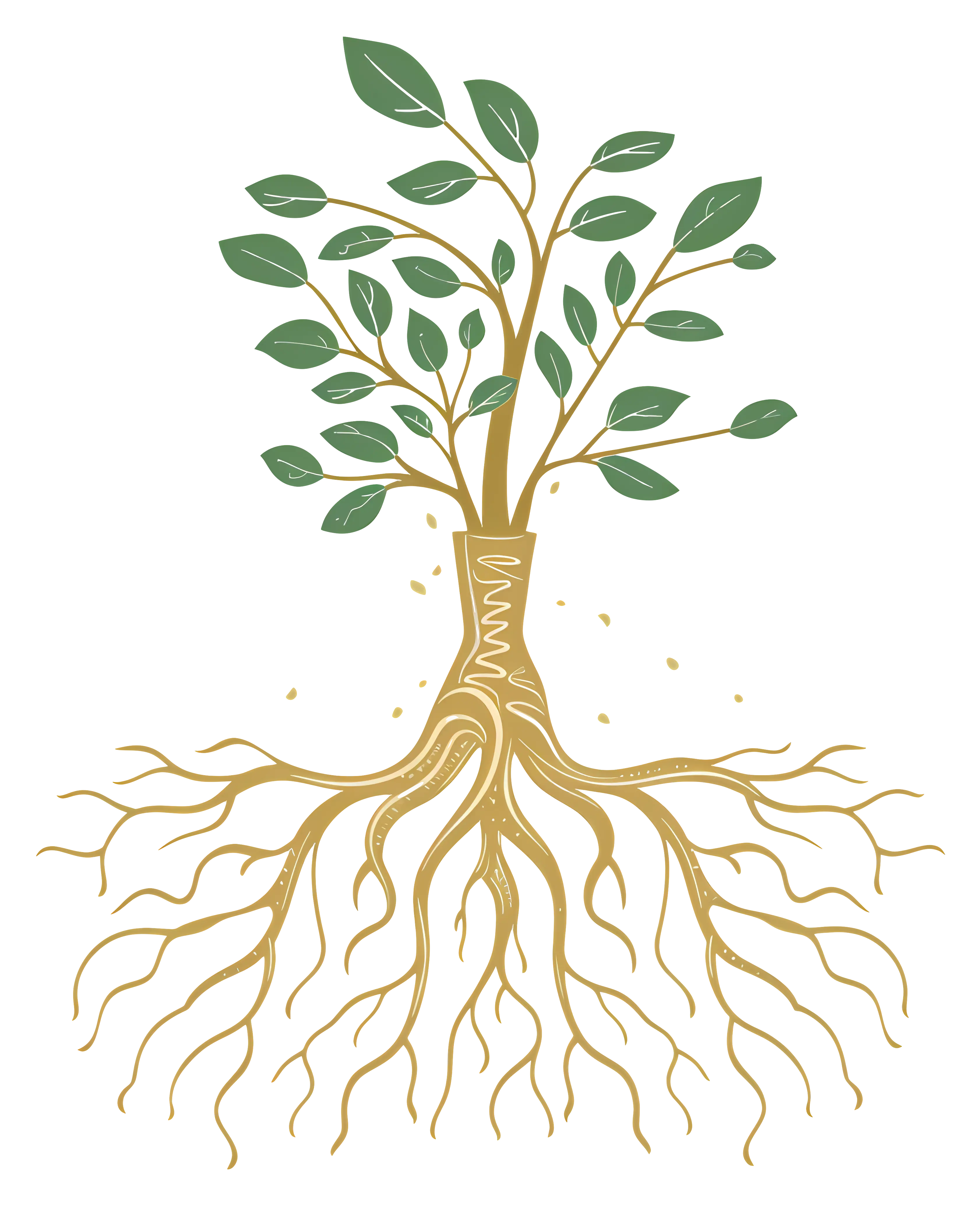 Tree and Root System Illustration