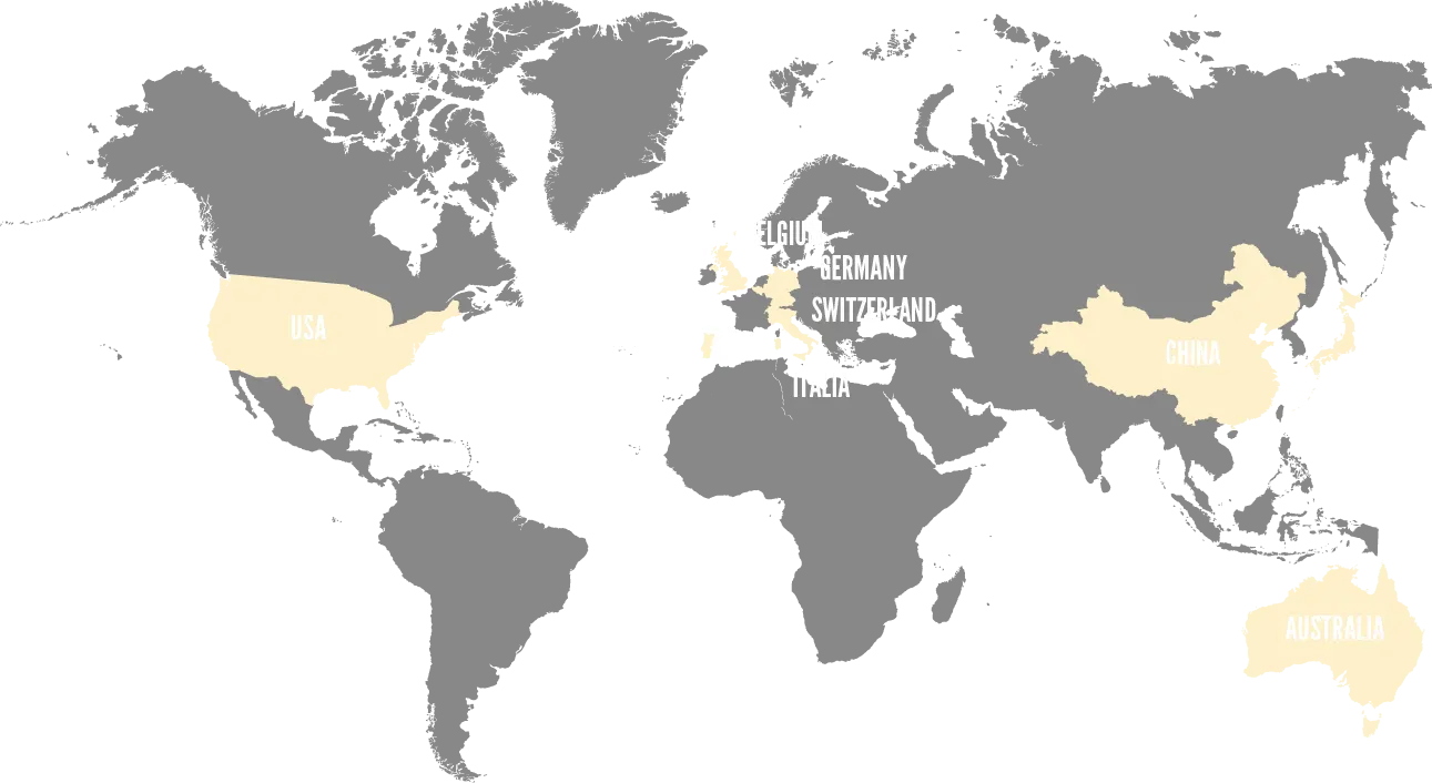 Simplified World Map with Highlighted Regions