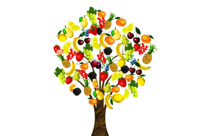 Colorful Fruit Tree Illustration