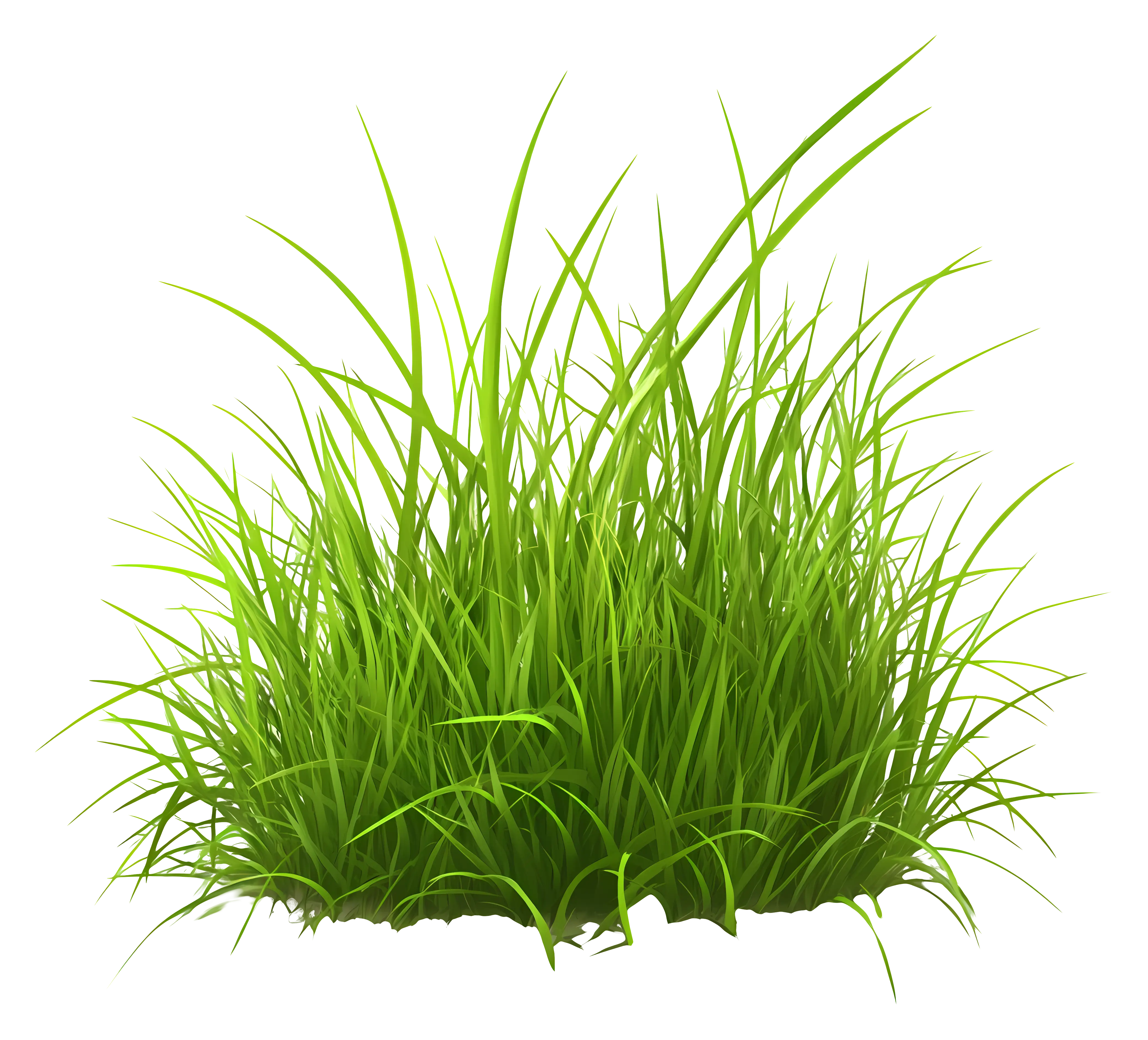 Vivid Green Grass Cluster