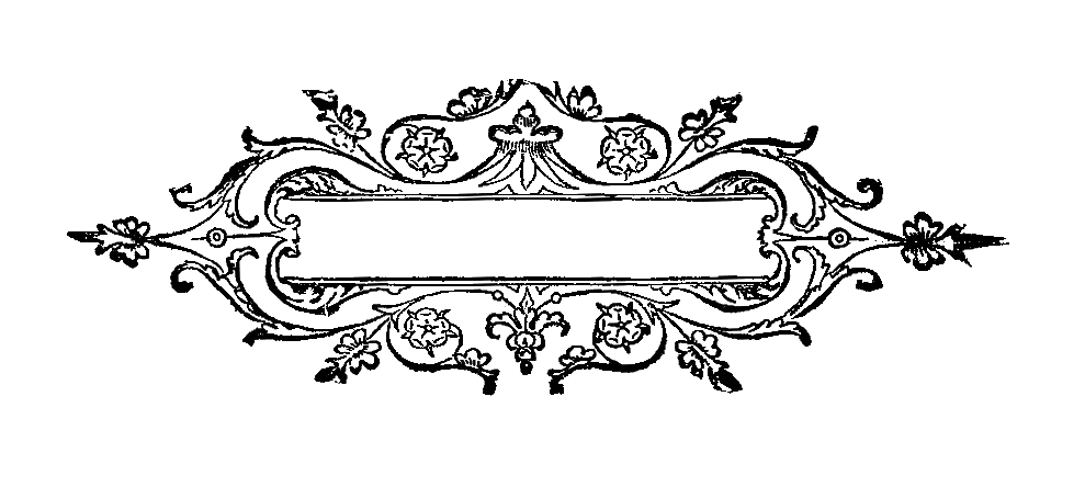 Vintage Ornate Frame Design with Floral Motifs