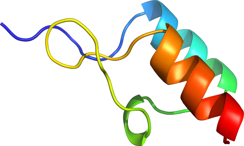 Colorful Protein Structure Illustration for Scientific Study