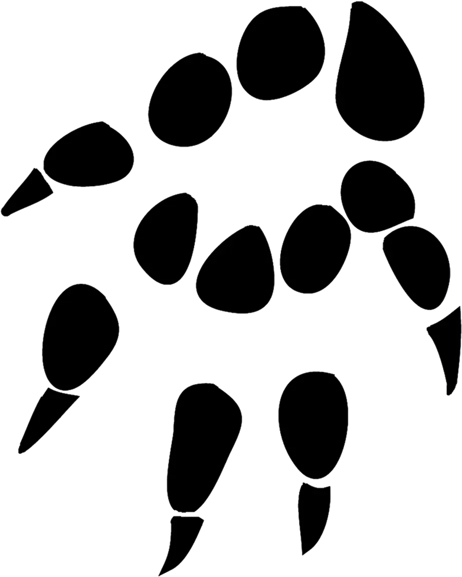 Abstract Black Shapes