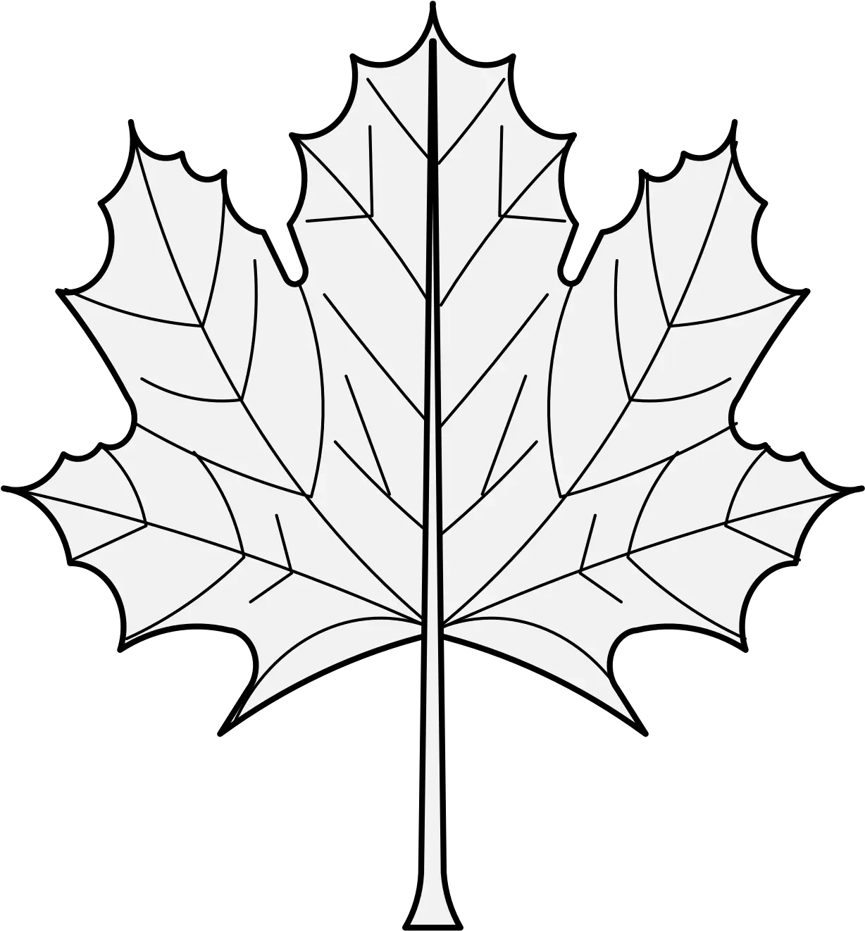 Maple Leaf Outline