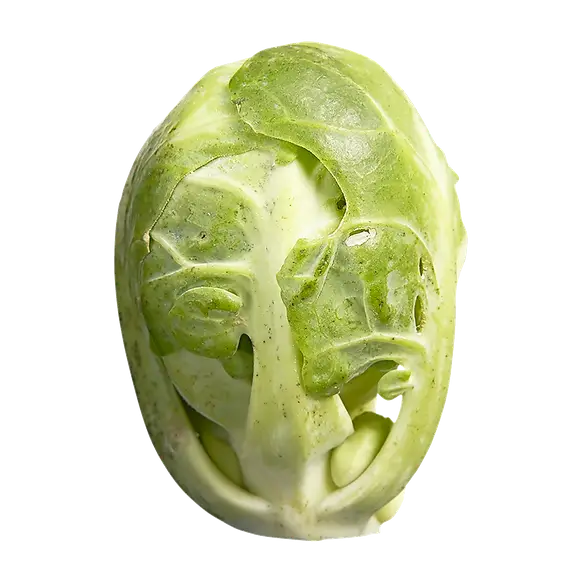 Fresh Green Brussels Sprout