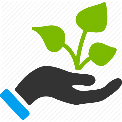 Hand Holding a Green Plant