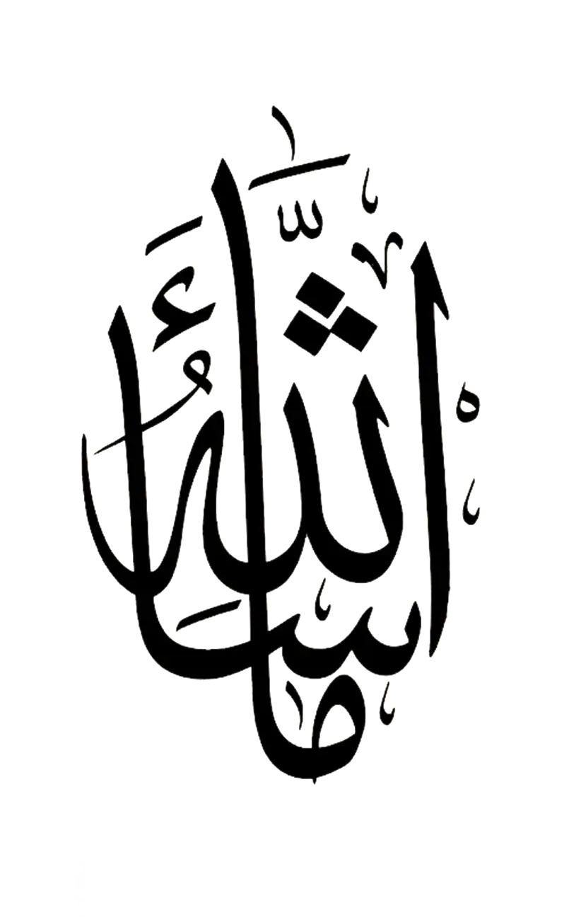 Elegant Arabic Calligraphy Art
