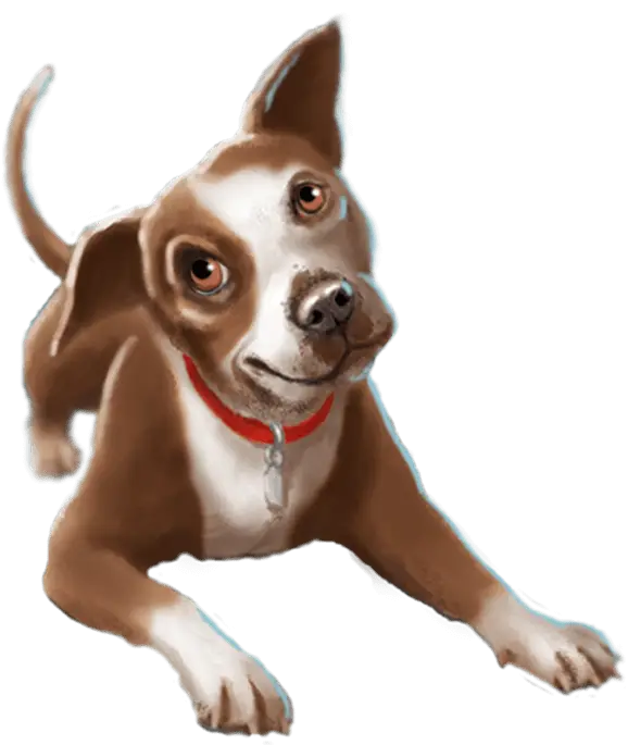 Cute Pet Dog