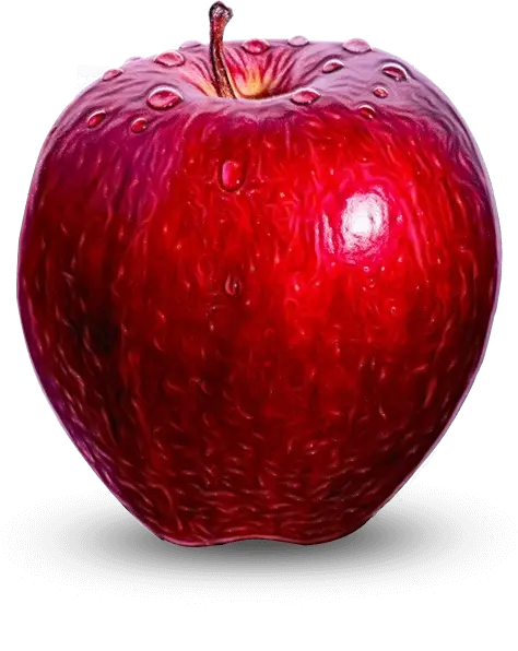 Juicy Red Apple