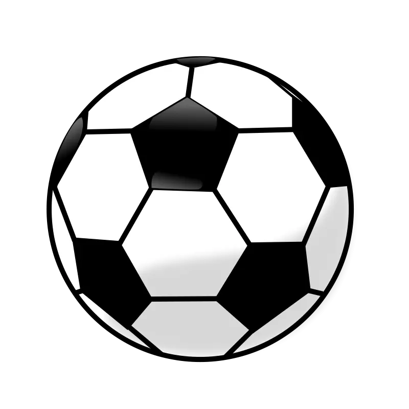 Black and White Soccer Ball Illustration