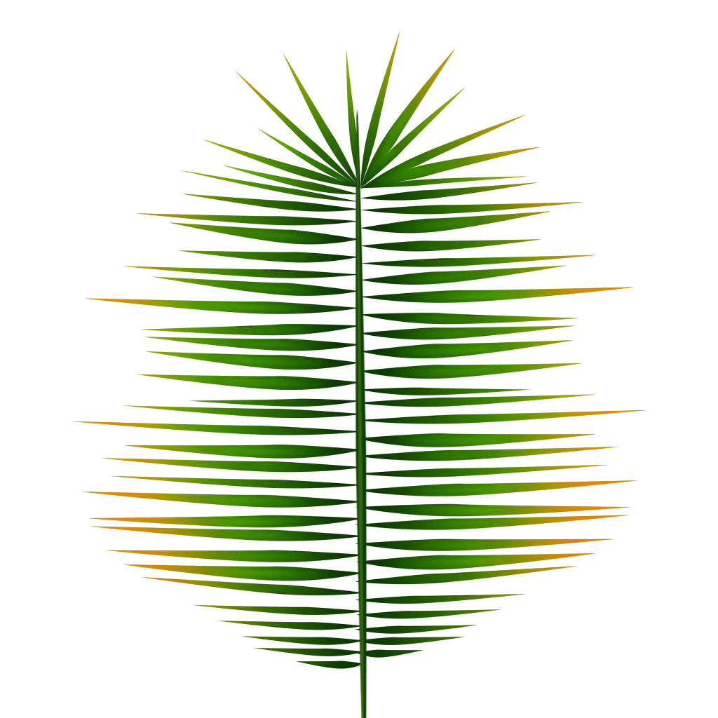 Green Palm Leaf Illustration