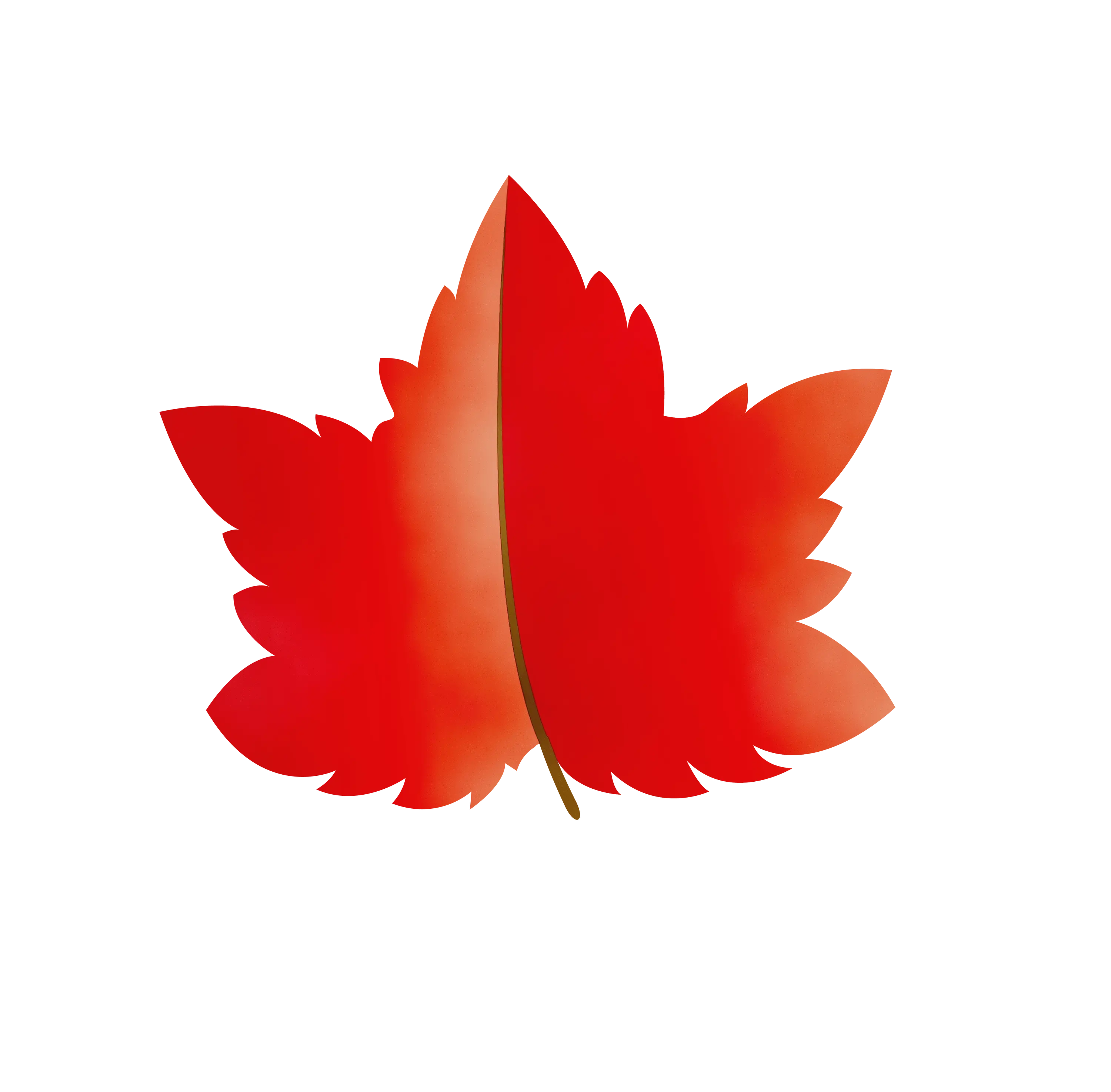 Red Maple Leaf Illustration