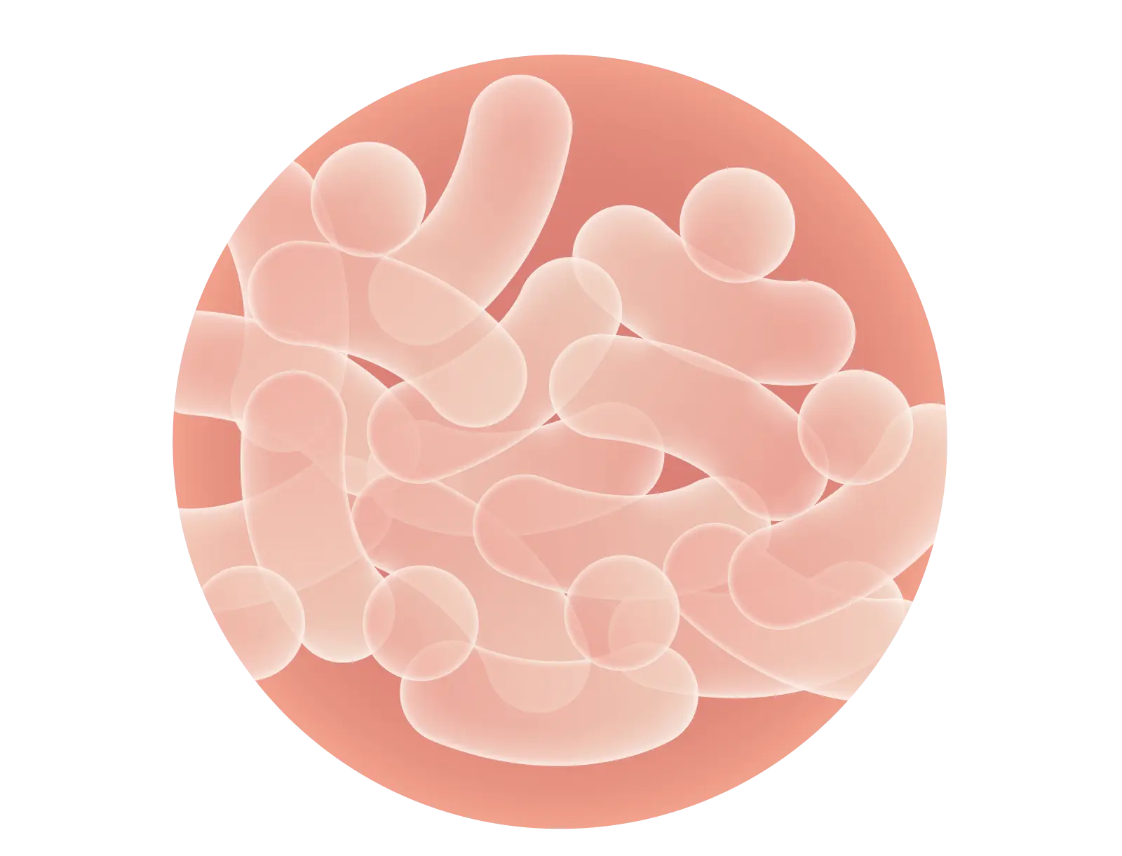 Bacteria Illustration in Circle