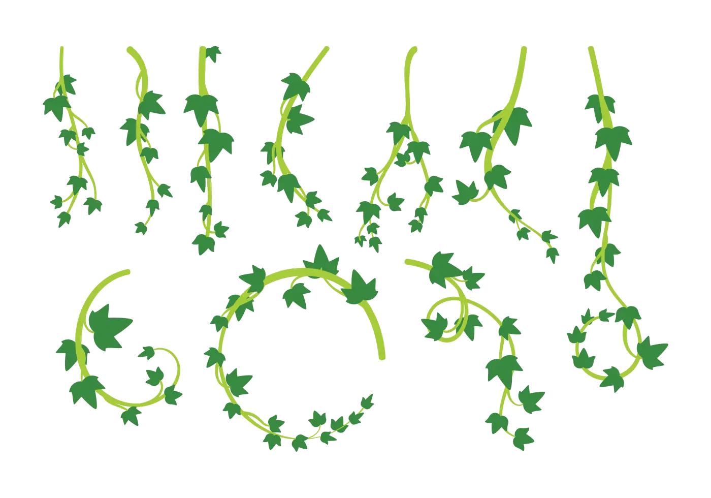 Green Ivy Vines