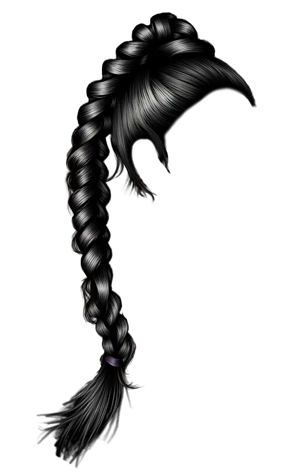 Elegant Braided Hair