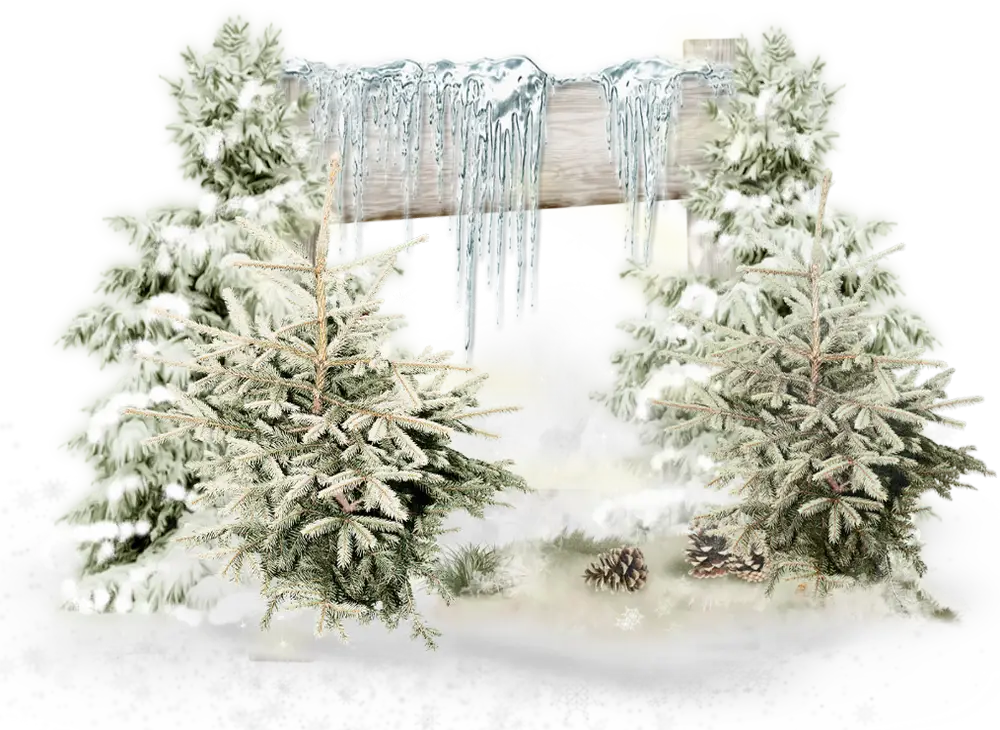 Snowy Trees and Icicles