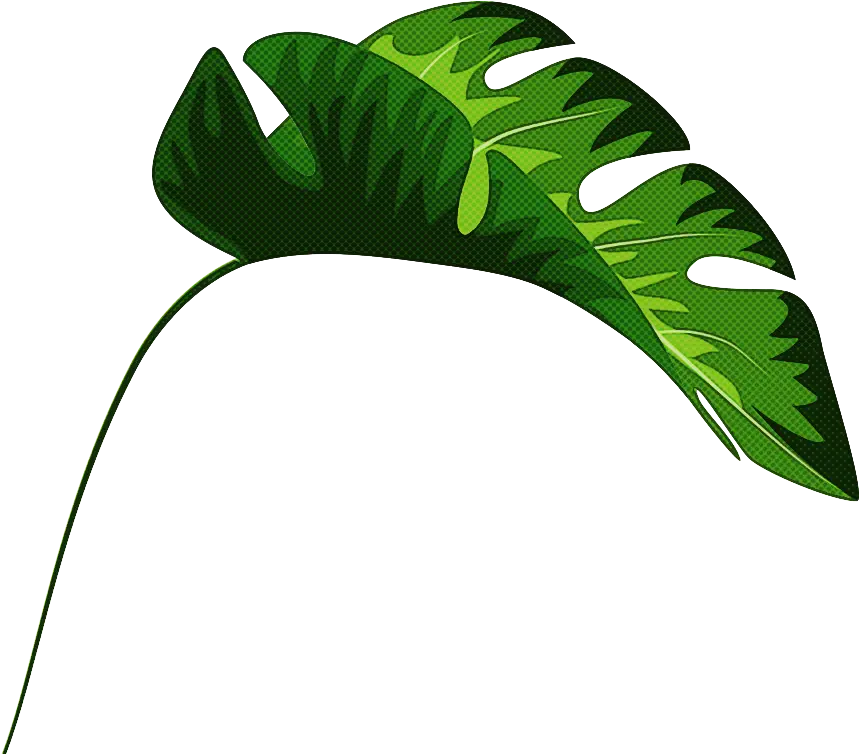 Green Monstera Leaf Illustration