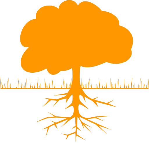 Orange Tree with Roots