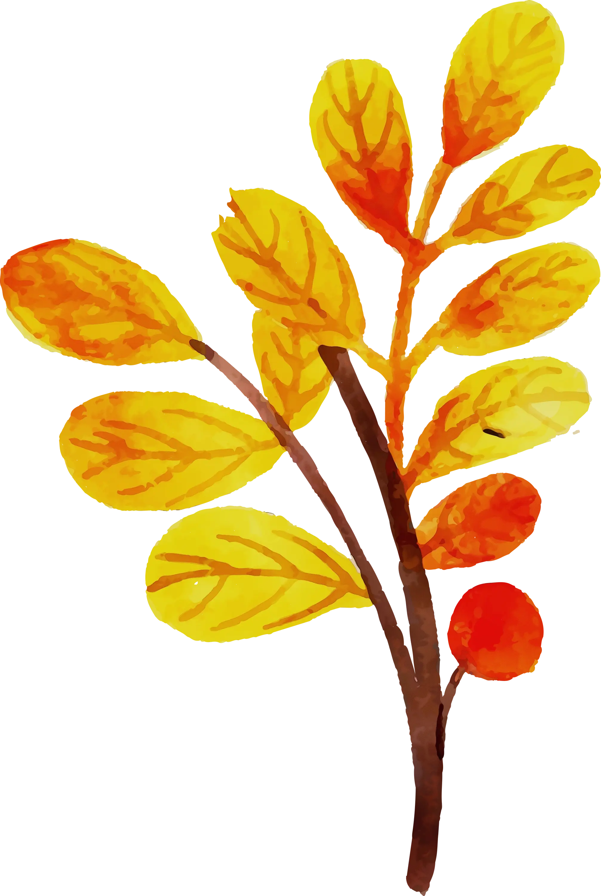 Yellow Watercolor Branch Illustration
