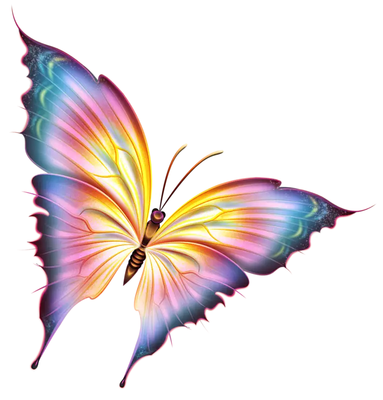Colorful Butterfly with Vibrant Wings Illustration