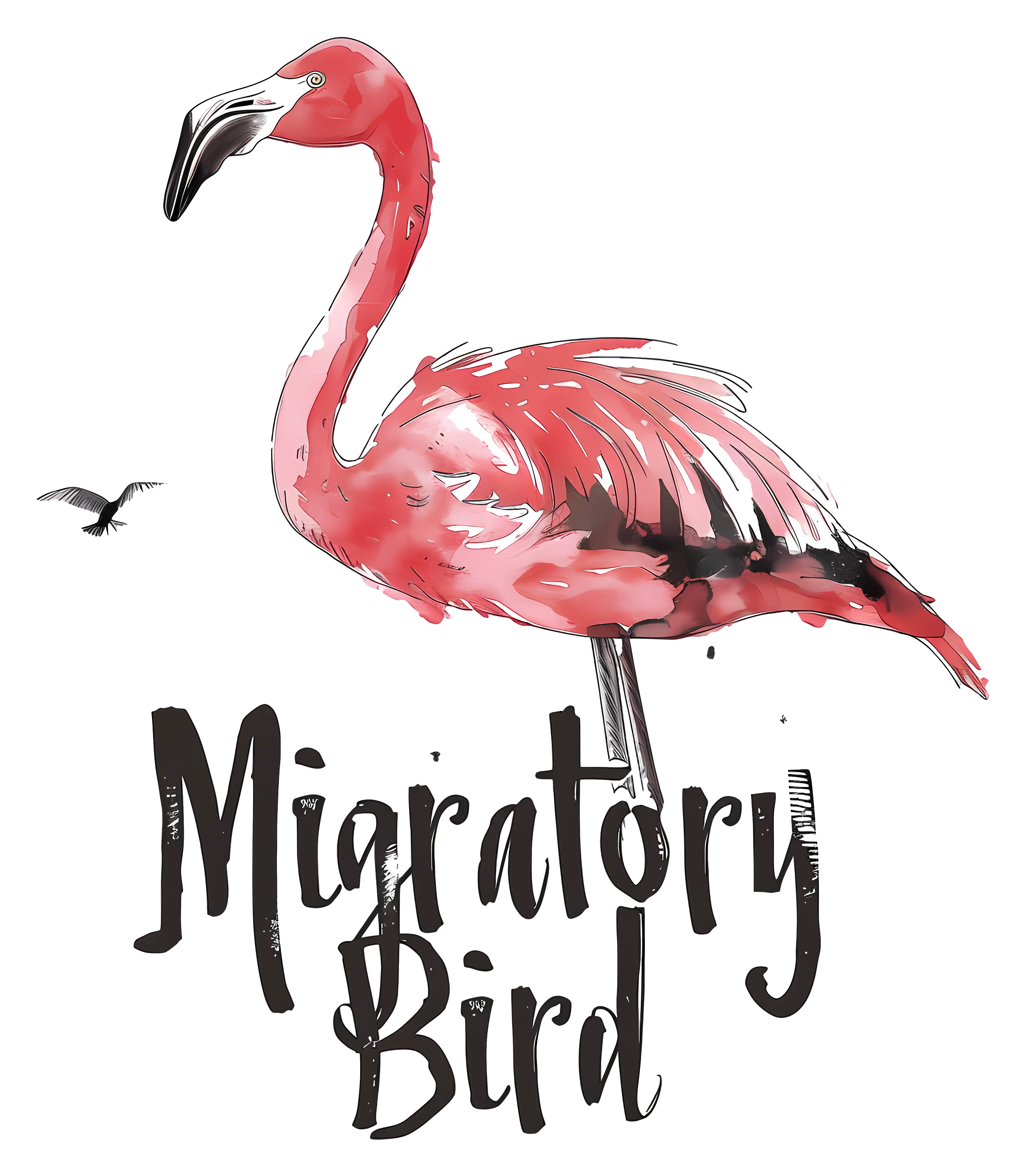Pink Flamingo Migratory Bird