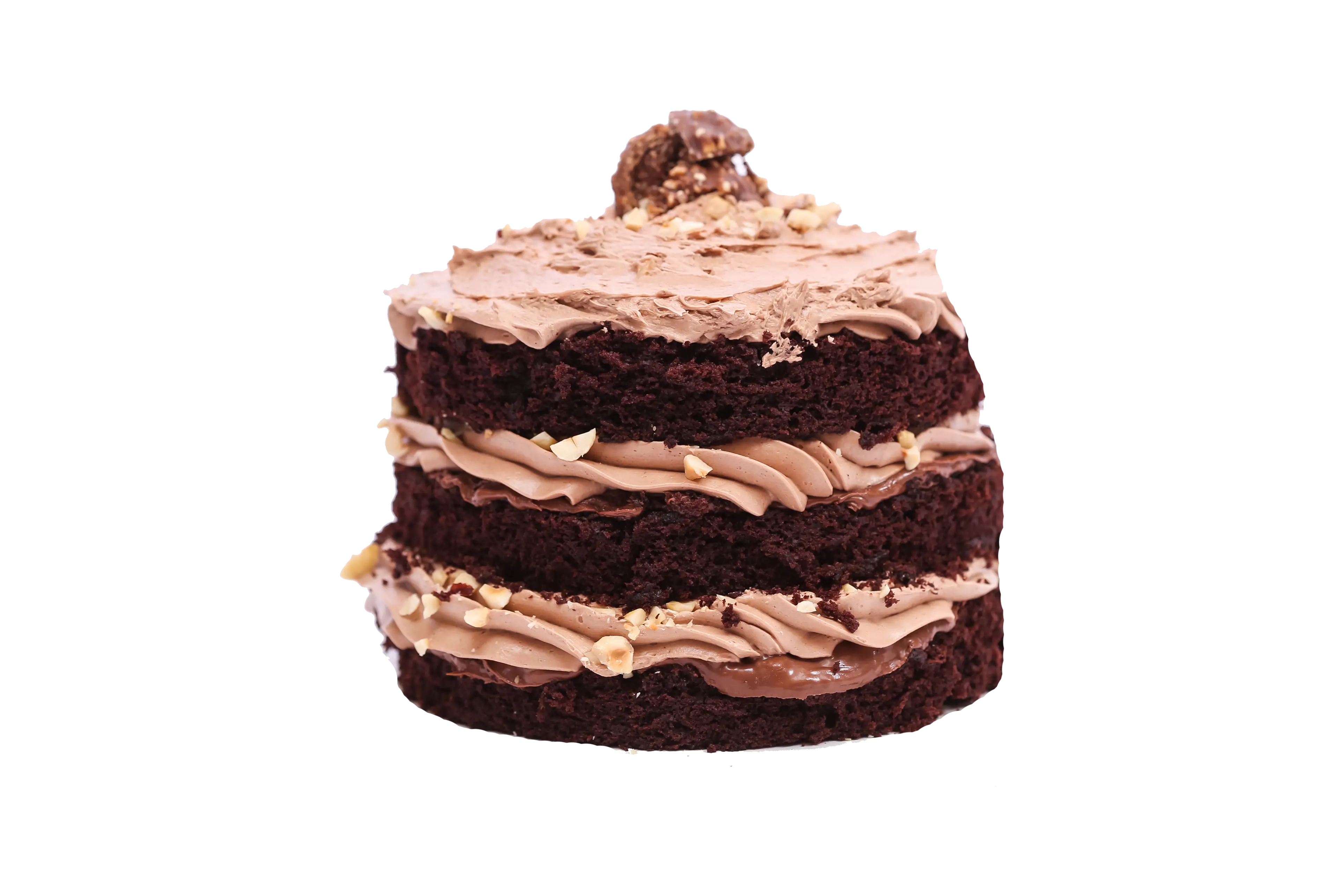Delicious Chocolate Layer Cake