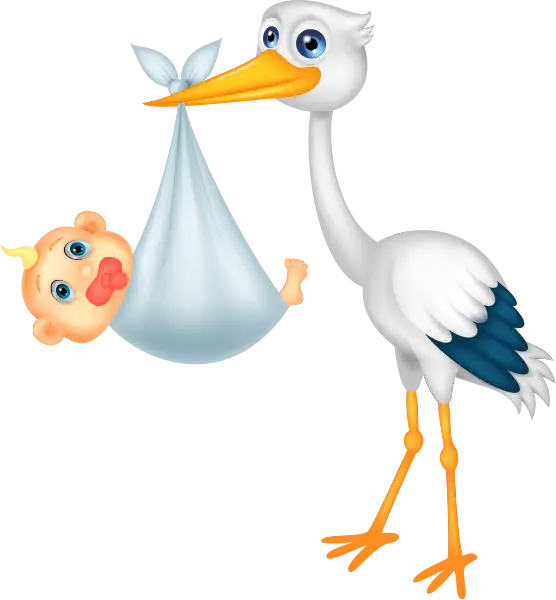 Stork Carrying Baby Illustration