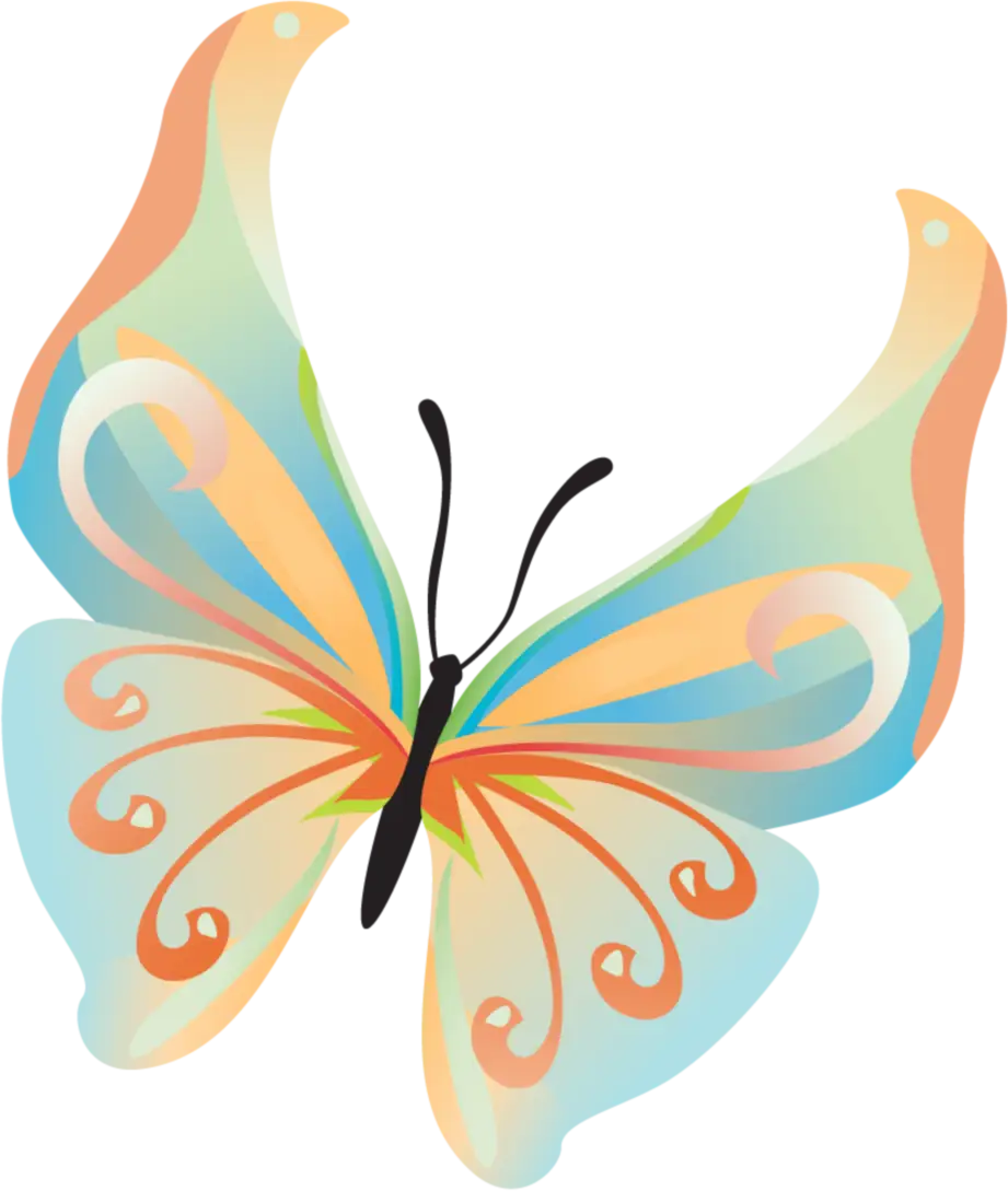 Colorful Butterfly Illustration