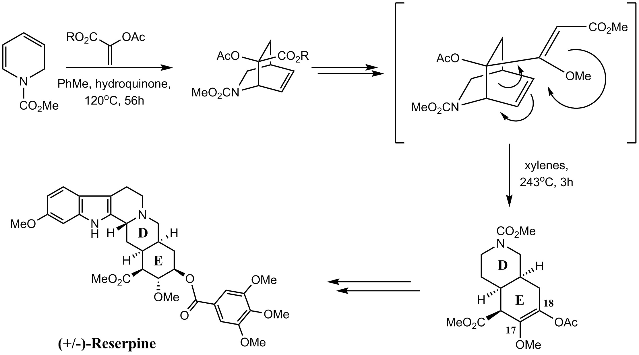 Detailed Chemical Reaction Diagram