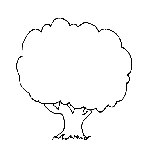 Outline Drawing of a Tree