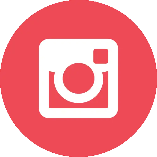 Instagram Logo Icon in Red Circle Design
