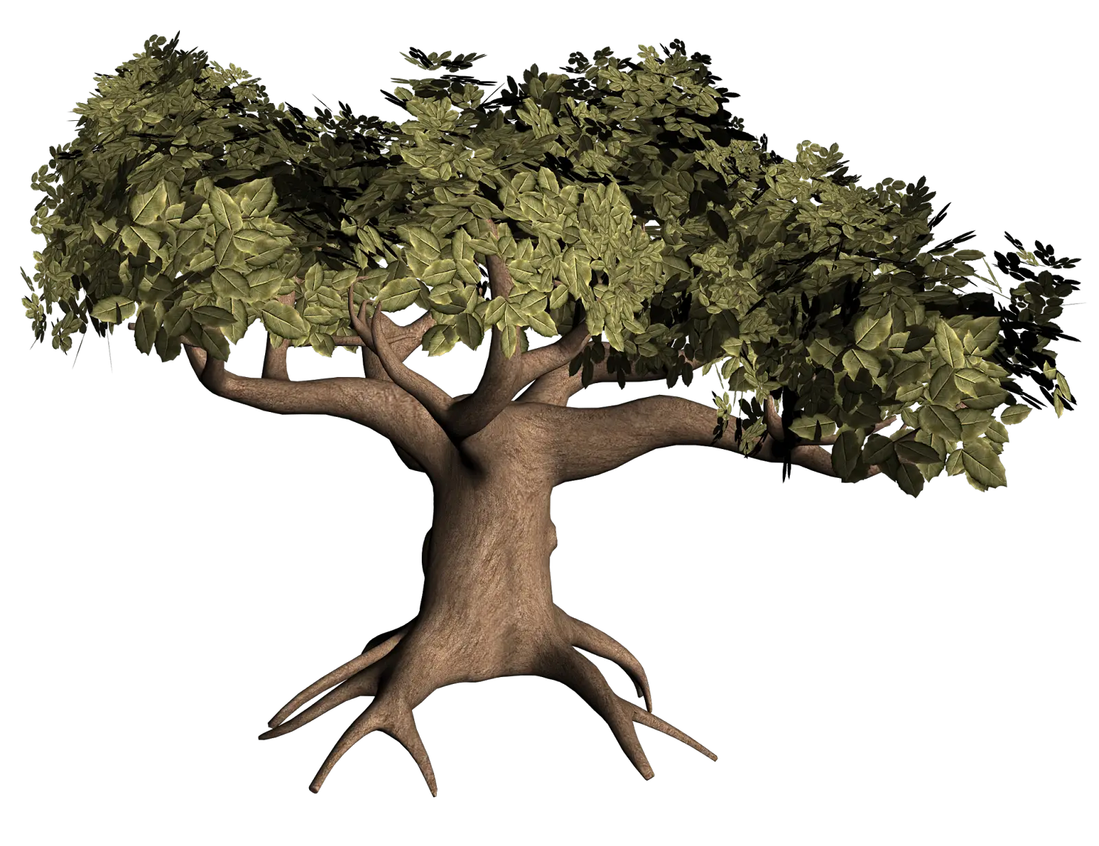 Digital Tree Illustration with Green Canopy