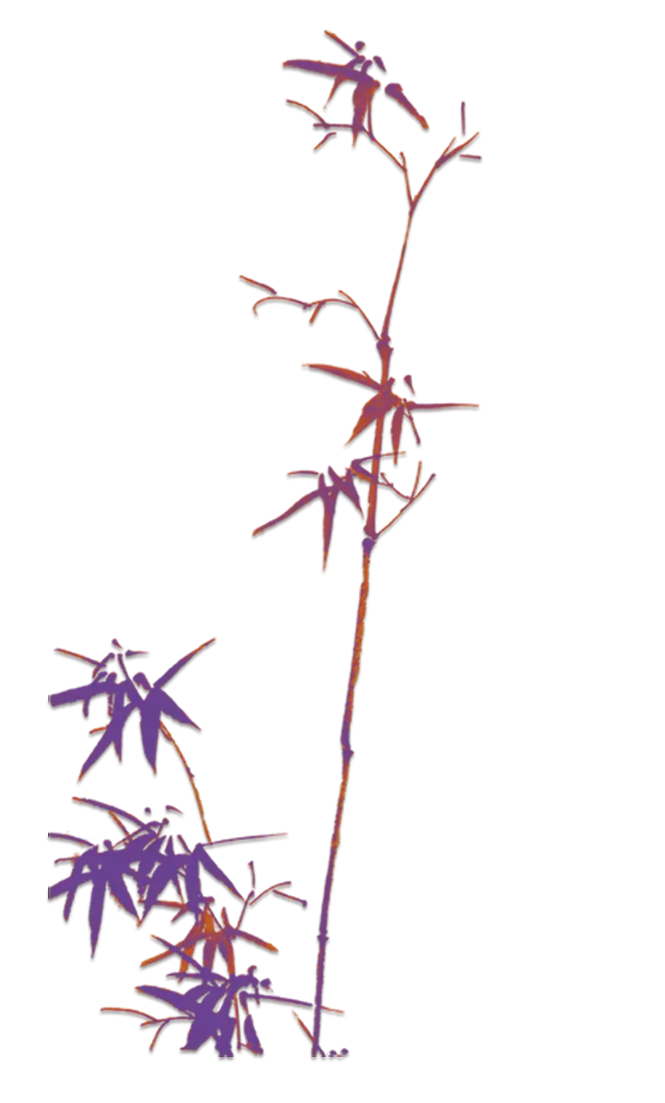 Minimalistic Bamboo Illustration