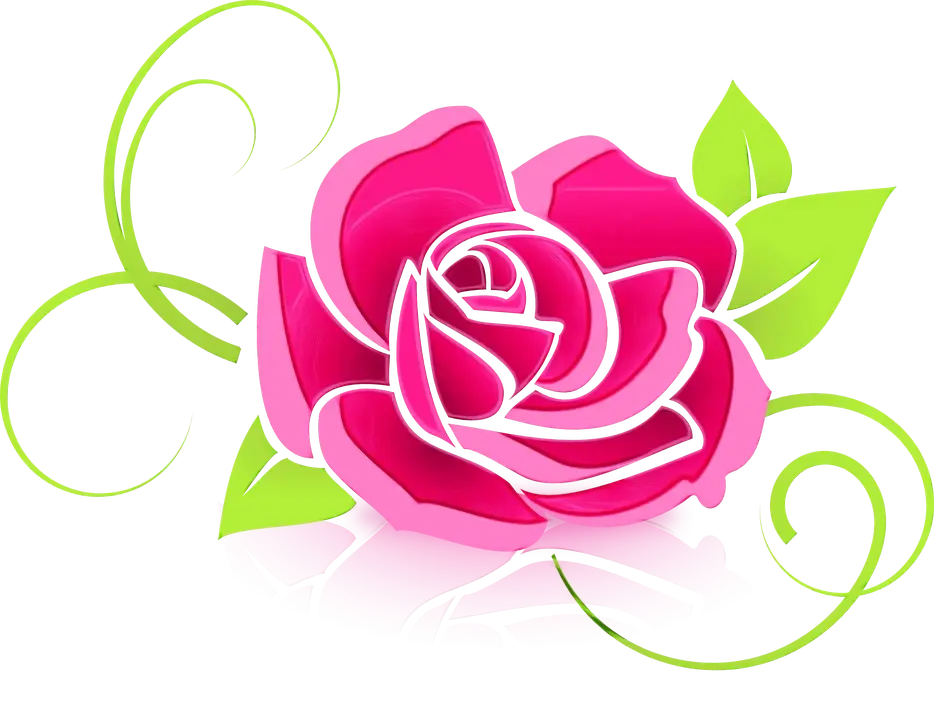 Beautiful Pink Rose Illustration