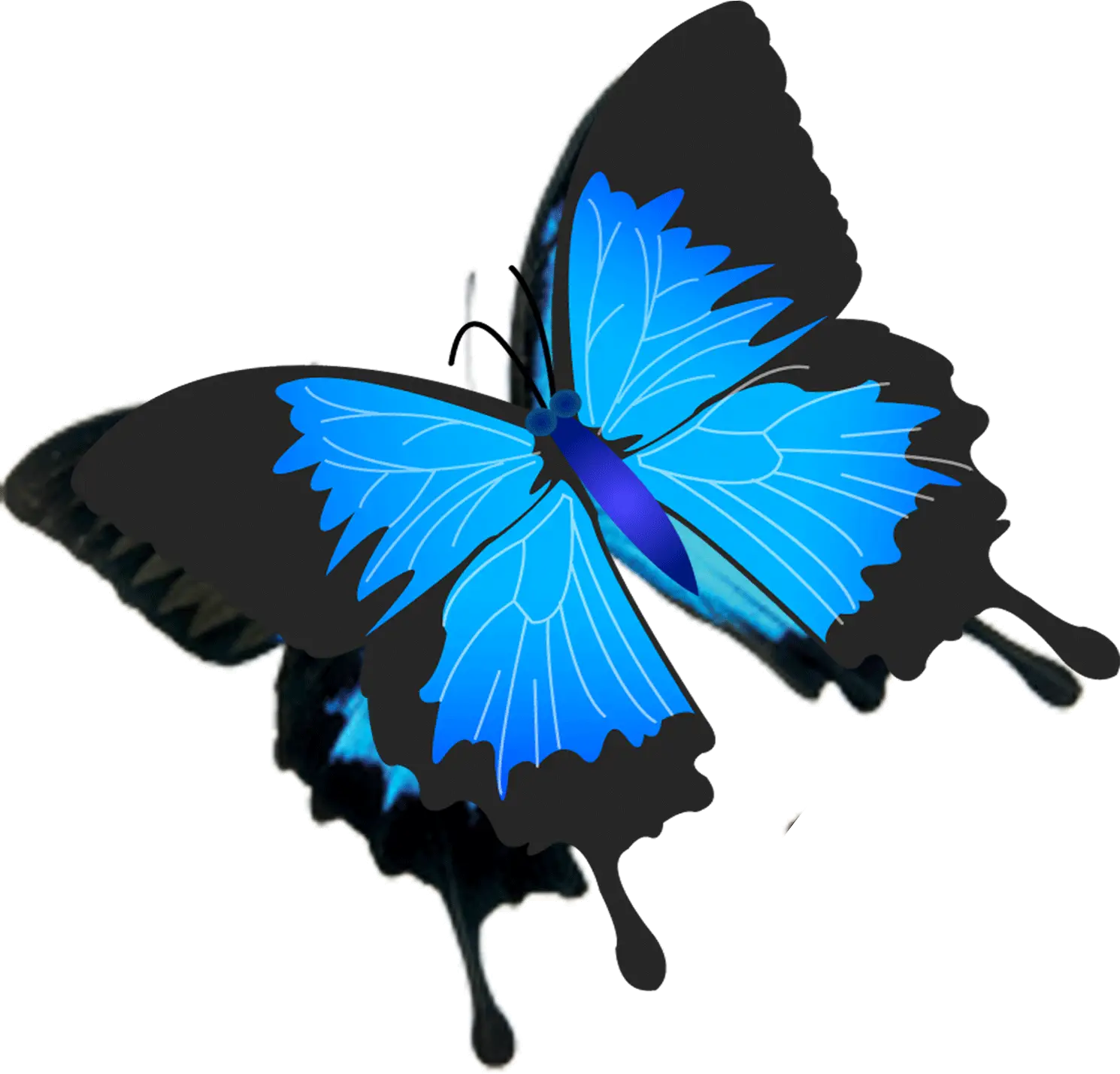 Beautiful Blue Butterfly Illustration