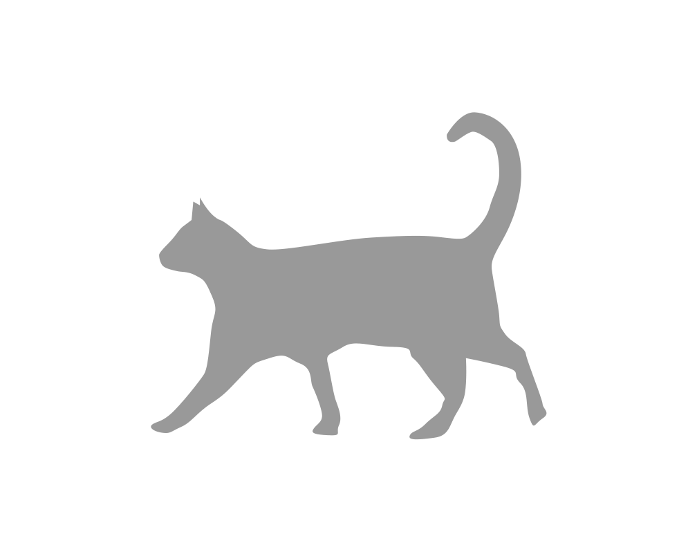 Gray Cat Silhouette