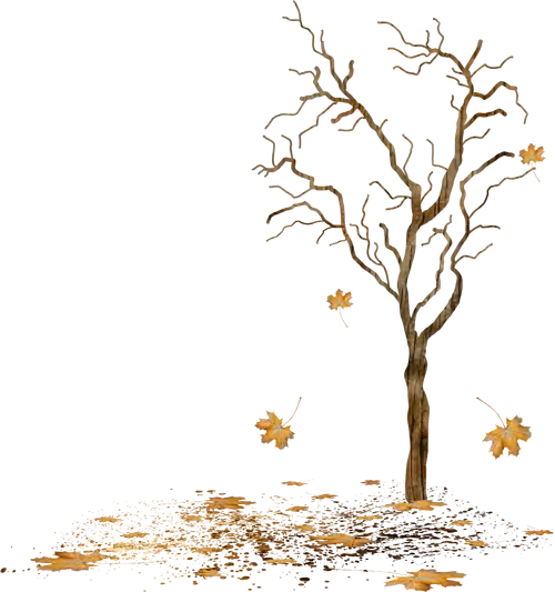 Bare Tree in Autumn