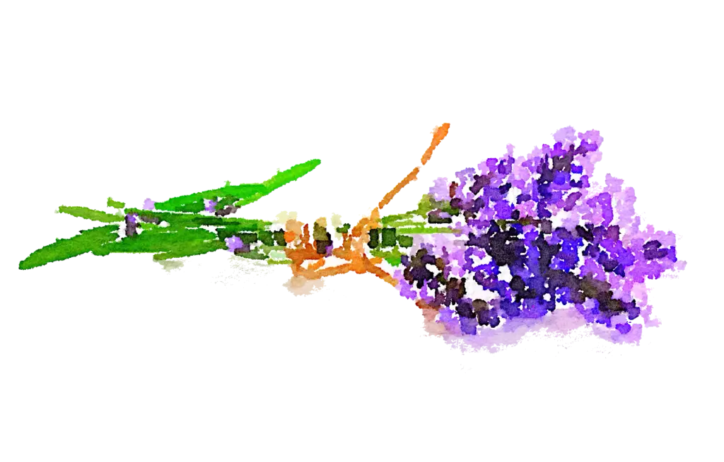 Lavender Bouquet