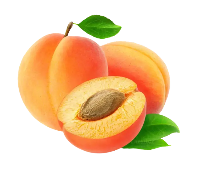 Bright Orange Apricots, Whole and Sliced