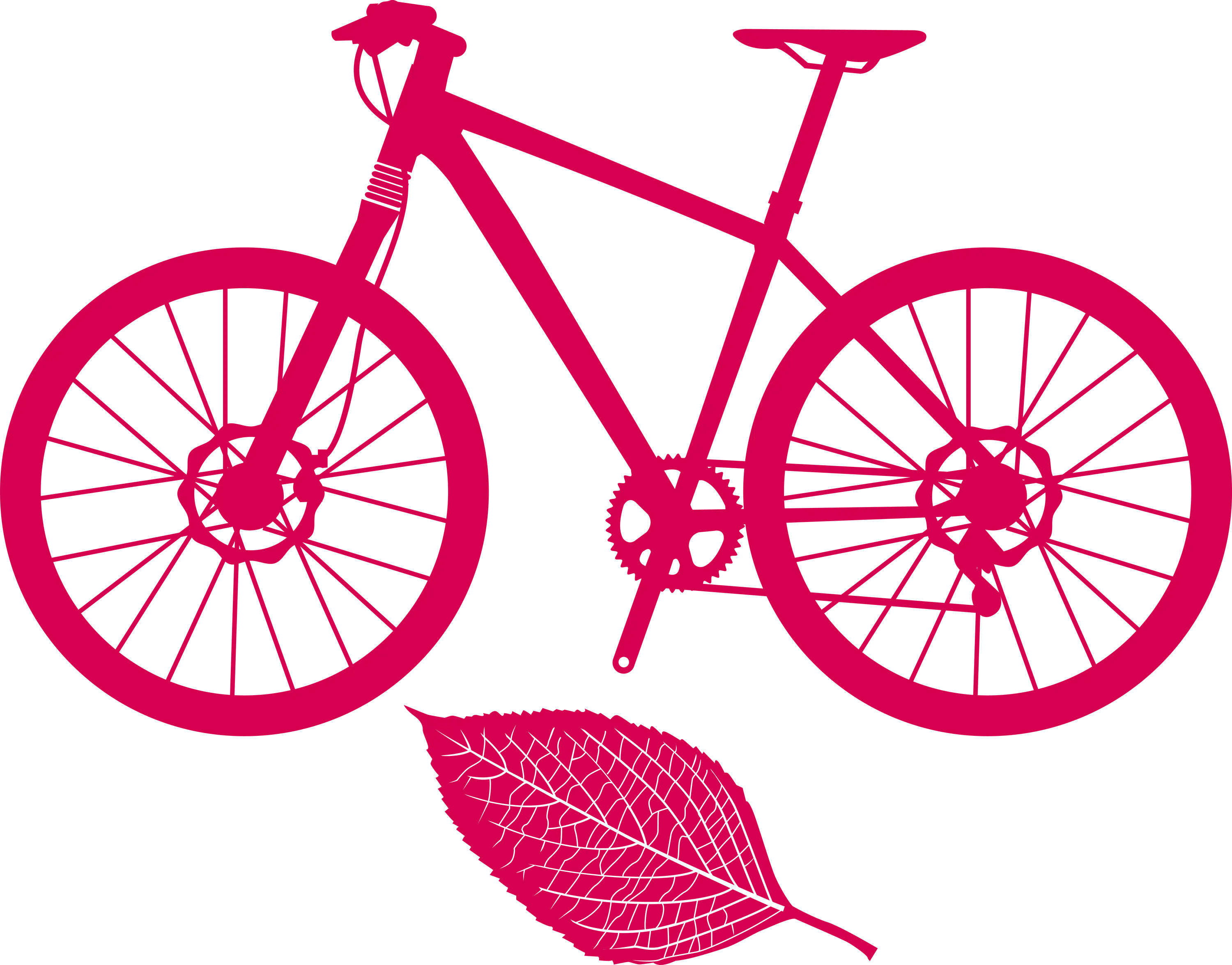 Pink Bicycle Silhouette with Leaf